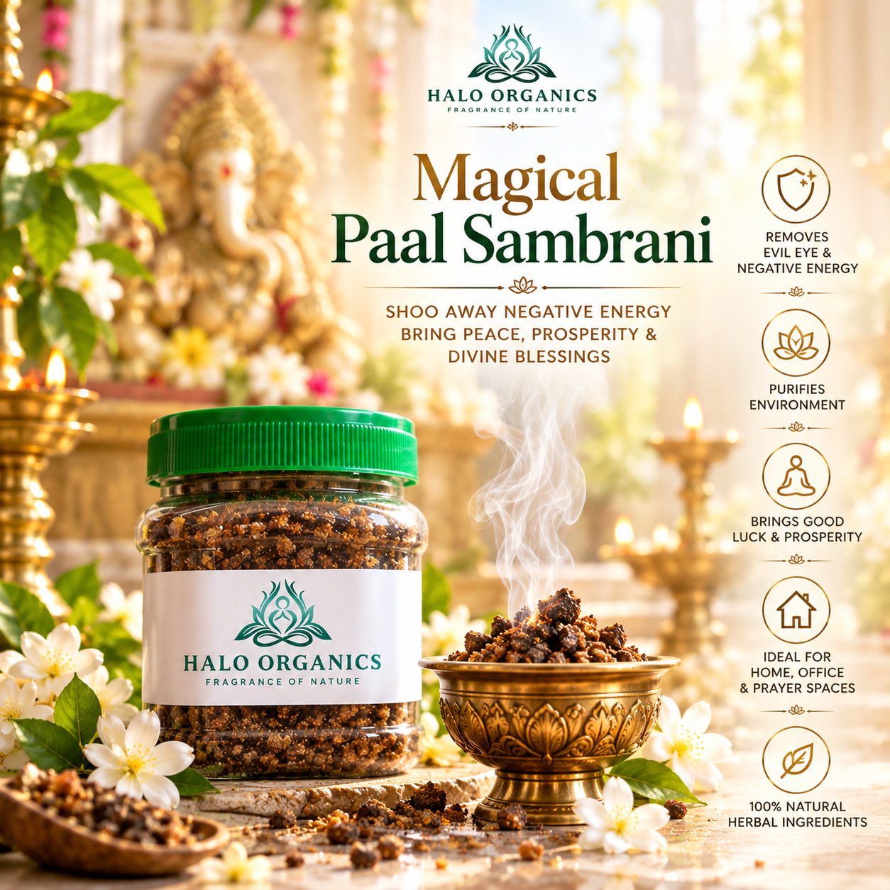 Paal Sambrani
